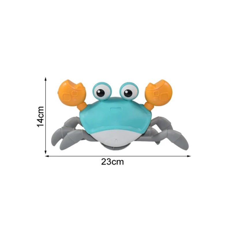 Le crabe rampant | CRABOT