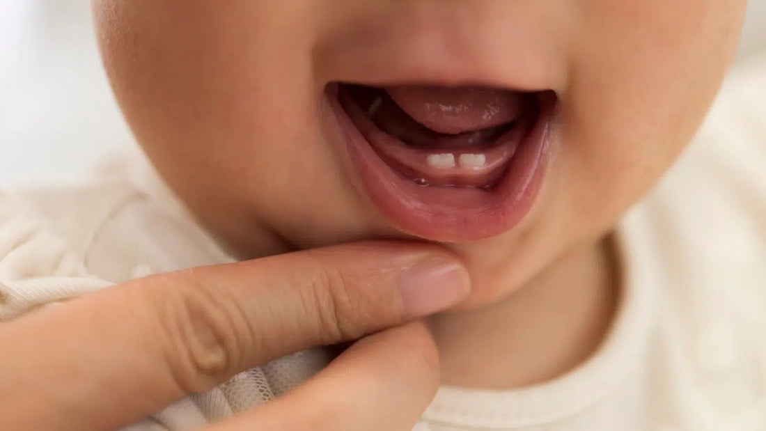 La Première Dent de Bébé : Tout Ce Que Vous Devez Savoir