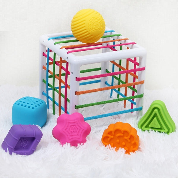 Jouet de Tri Sensoriel Montessori - Mon Adorable Bebe