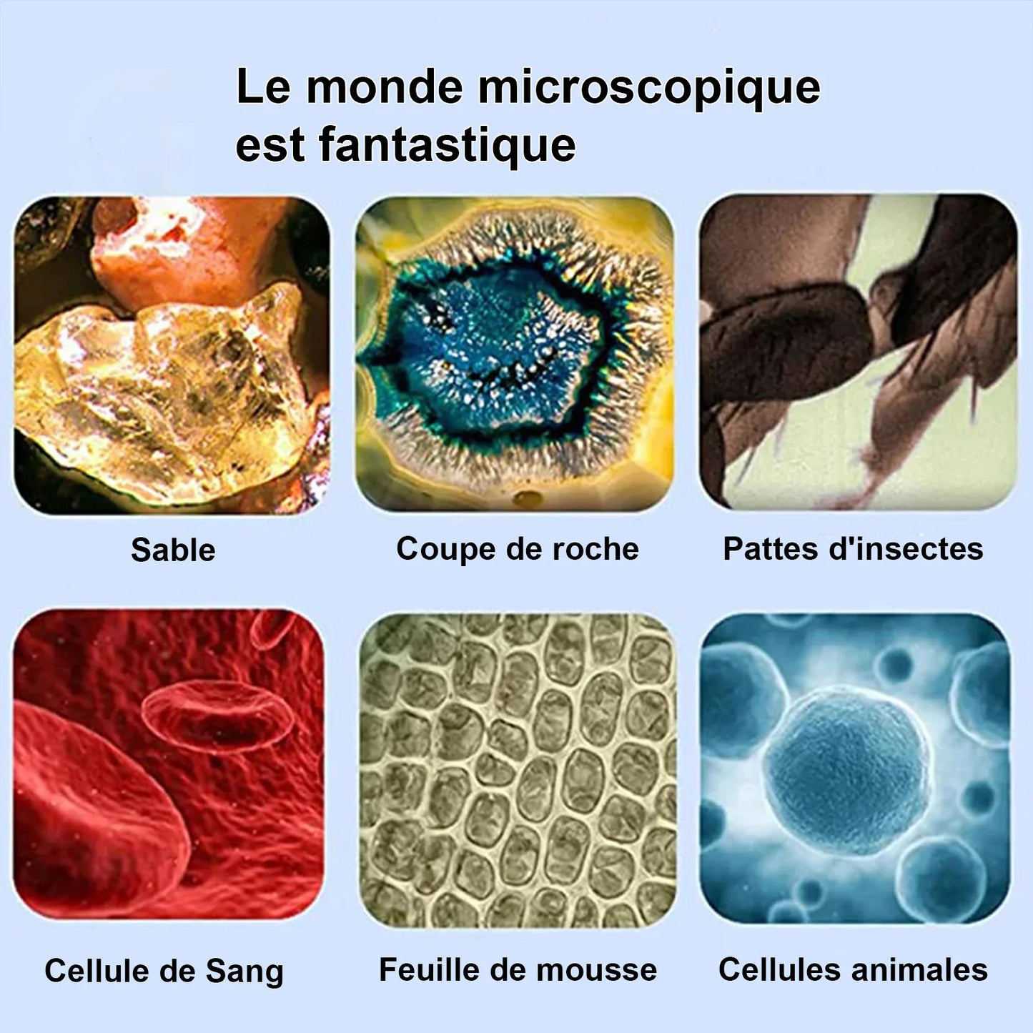 Microscope Portable KidScope