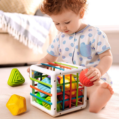 Jouet de Tri Sensoriel Montessori - Mon Adorable Bebe